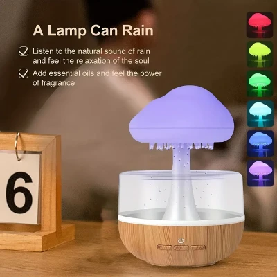 Rain Cloud Humidifier & Essential Oil Diffuser